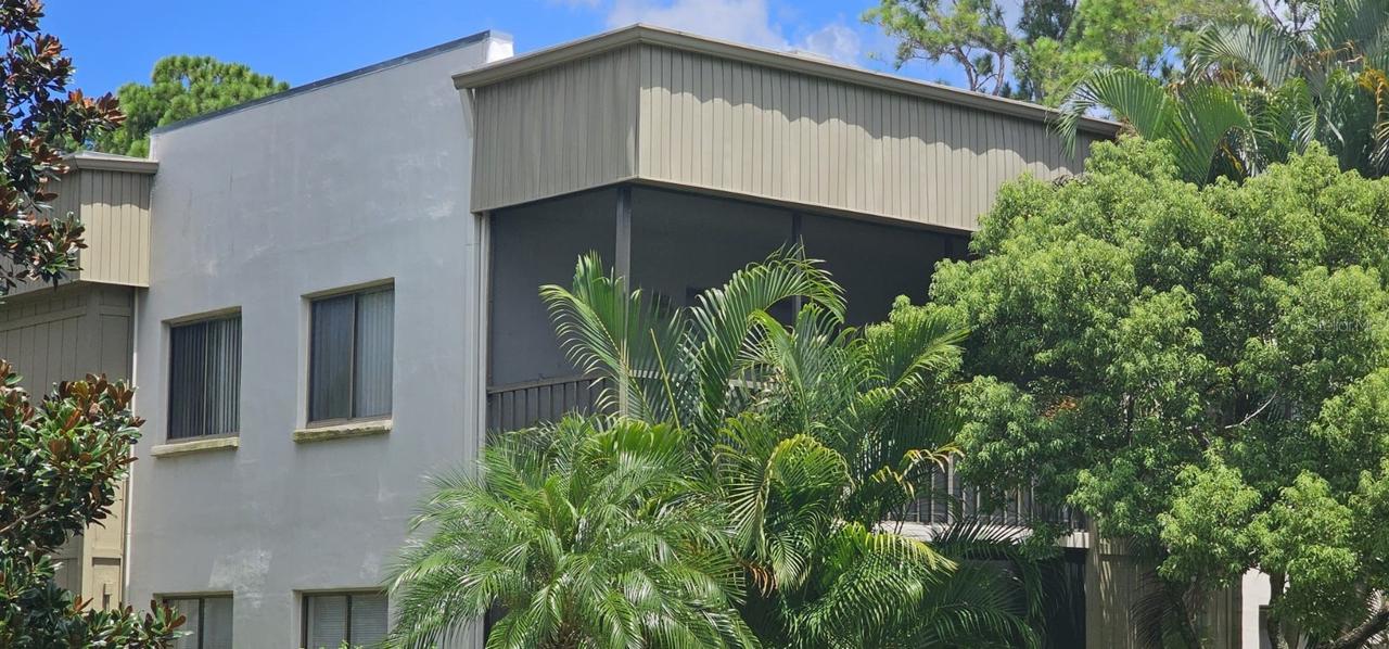 3300 Fox Chase Cir. #231, Palm Harbor, FL 34683