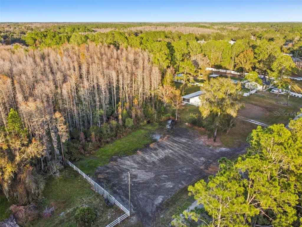 26305 Bluestripe Dr., Wesley Chapel, FL 33544