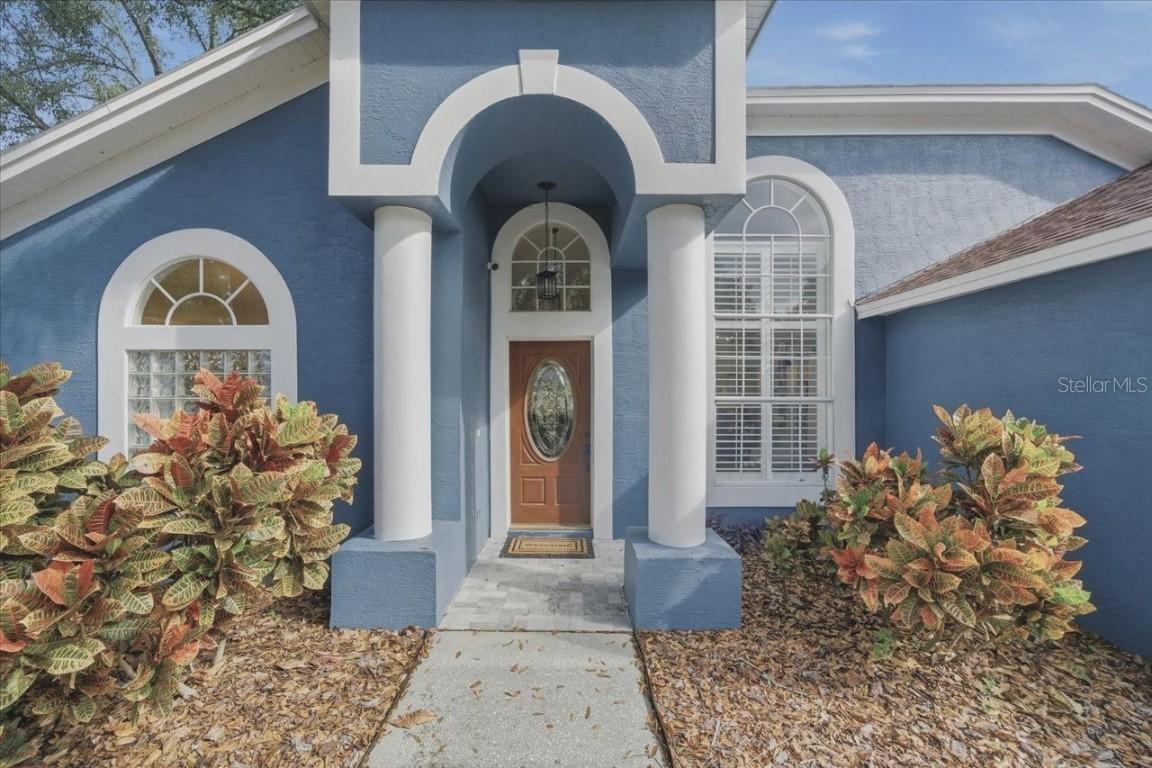 15207 Arbor Hollow Dr., Odessa, FL 33556