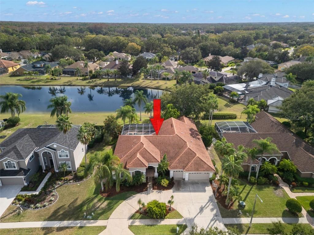 3830 Moreno Dr., Palm Harbor, FL 34685