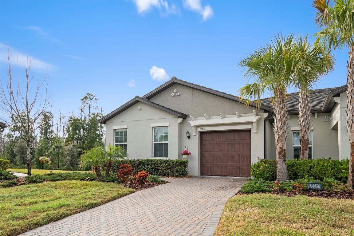 16803 Forge Surf St., Land O Lakes, FL 34638