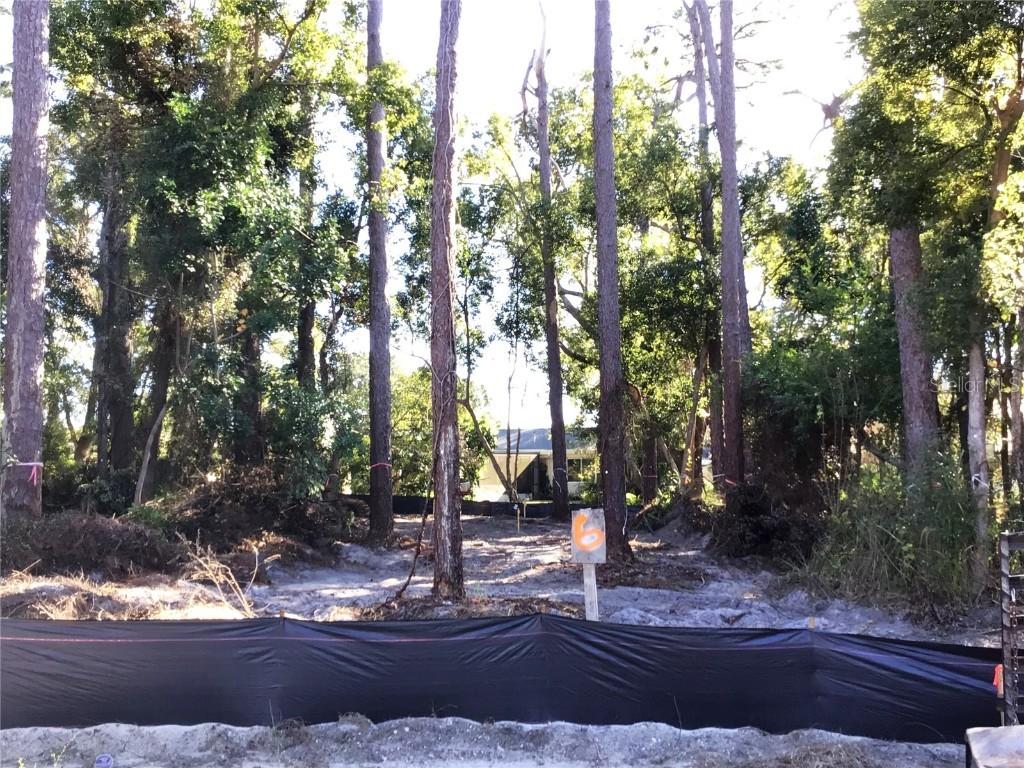 1298 Almaria Ct., Palm Harbor, FL 34683