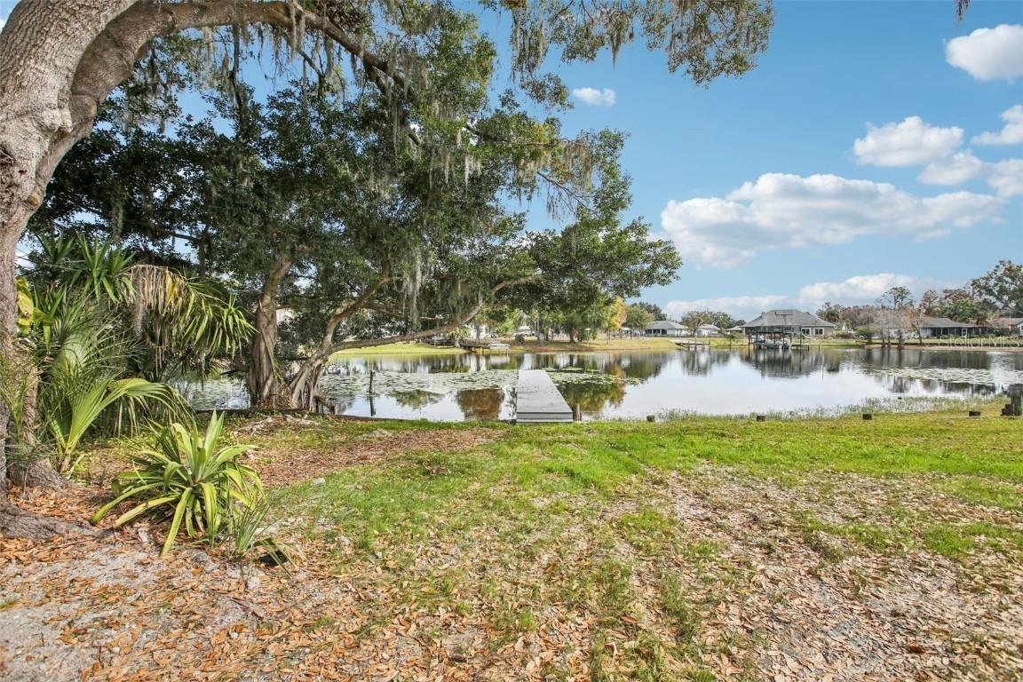 3120 Pine Shadow Dr., Land O Lakes, FL 34639