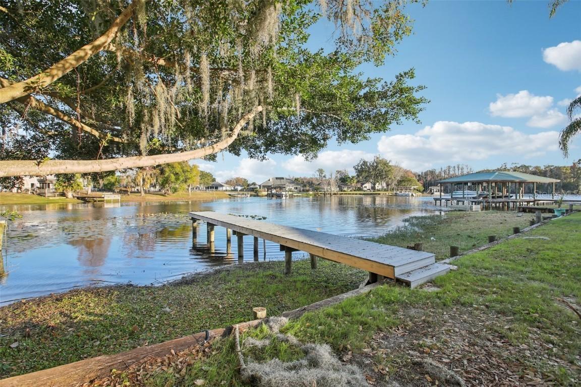 3120 Pine Shadow Dr., Land O Lakes, FL 34639