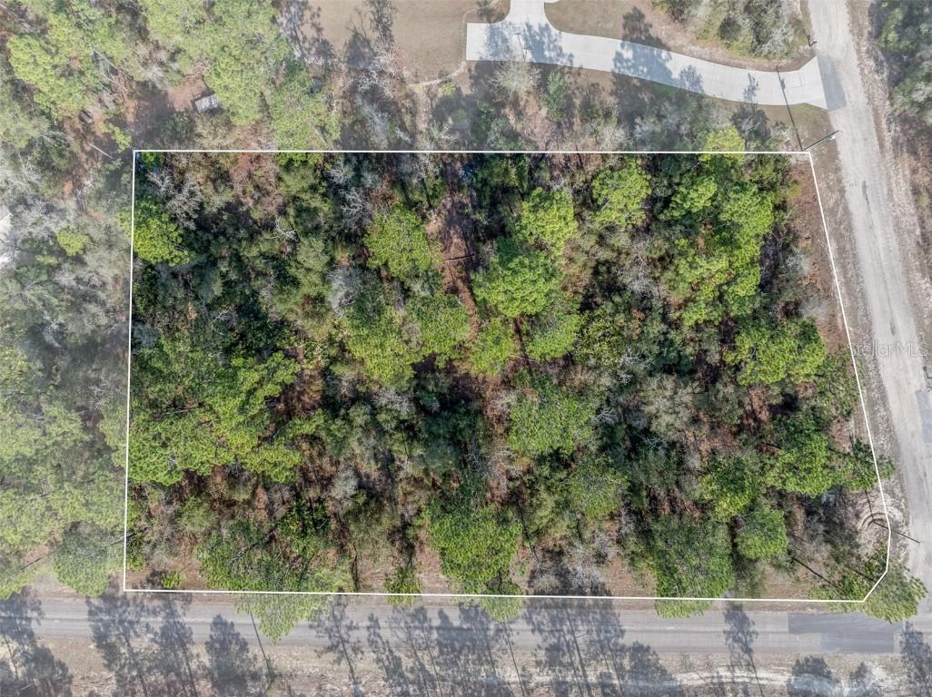 7082 N Treehaven Ter., Citrus Springs, FL 34433