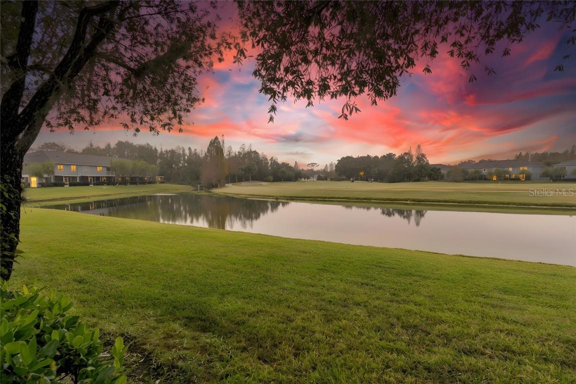 18214 Paradise Point Dr., Tampa, FL 33647