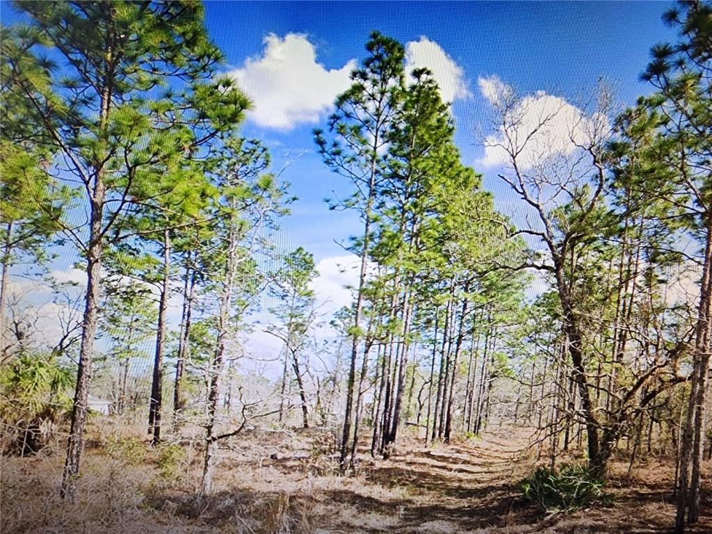 Dusky Sparrow Rd. #Lot #24, Weeki Wachee, FL 34614