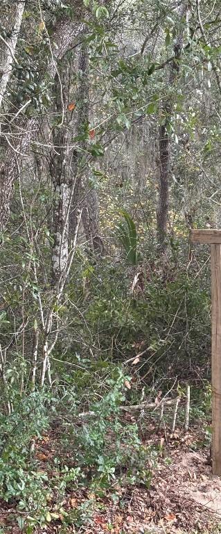 5670 West St., De Leon Springs, FL 32130