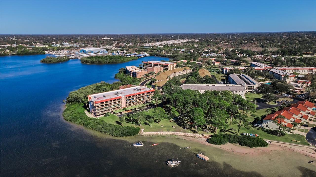 2700 Bayshore Blvd. #11-209, Dunedin, FL 34698