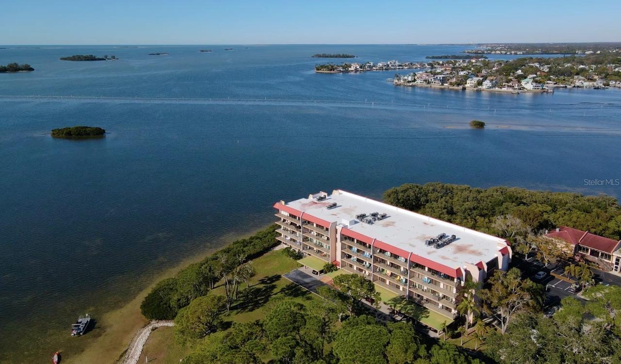 2700 Bayshore Blvd. #11-209, Dunedin, FL 34698