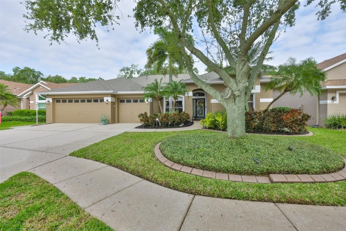 7260 Bucks Ford Dr., Riverview, FL 33578