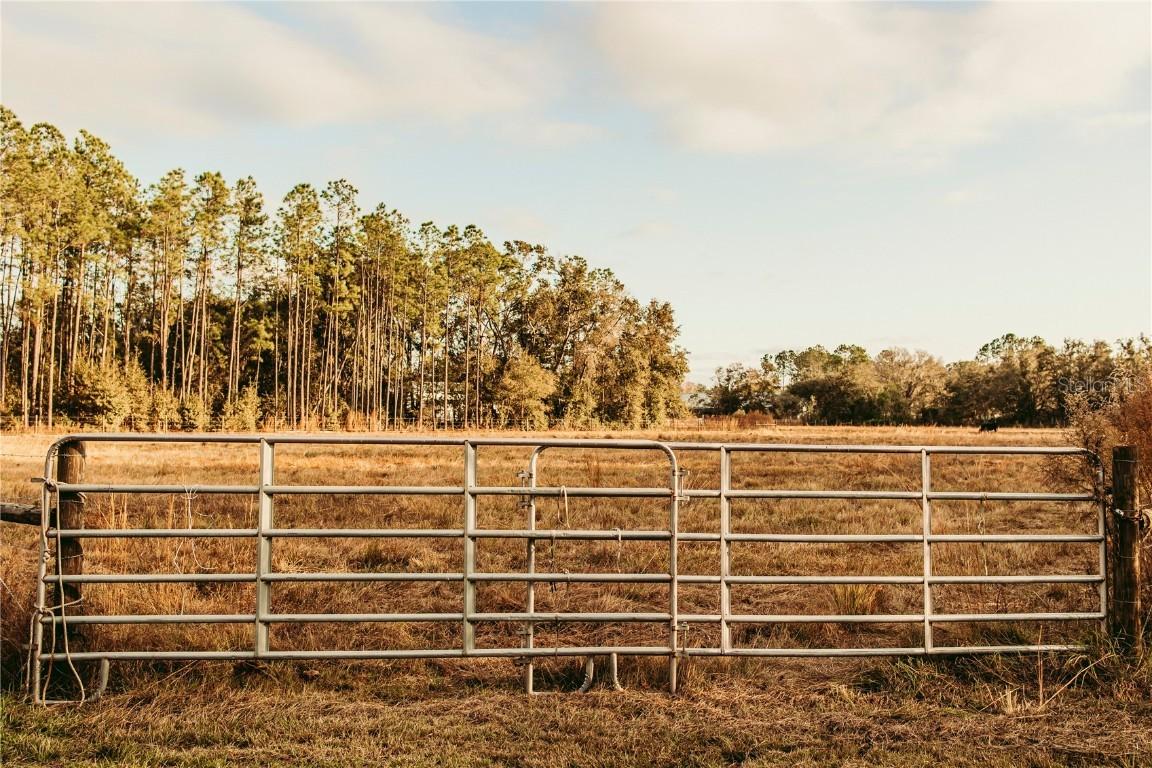 5812 N Dormany Rd., Plant City, FL 33565