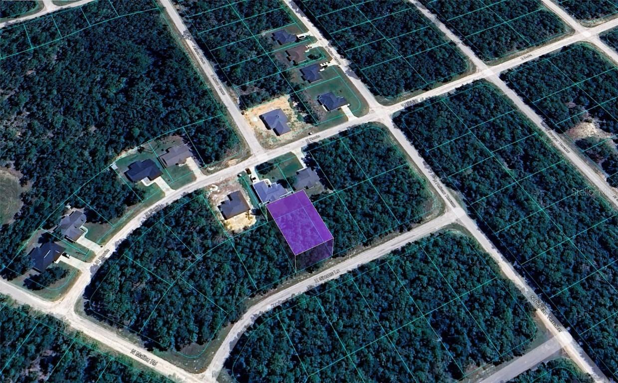 165 E Simms Ln., Citrus Springs, FL 34434