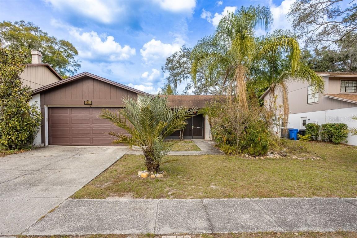 14841 Oak Vine Dr., Lutz, FL 33559