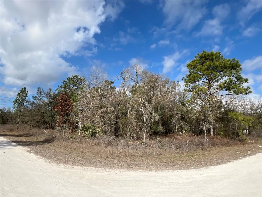 16165 Courlan Rd., Brooksville, FL 34614