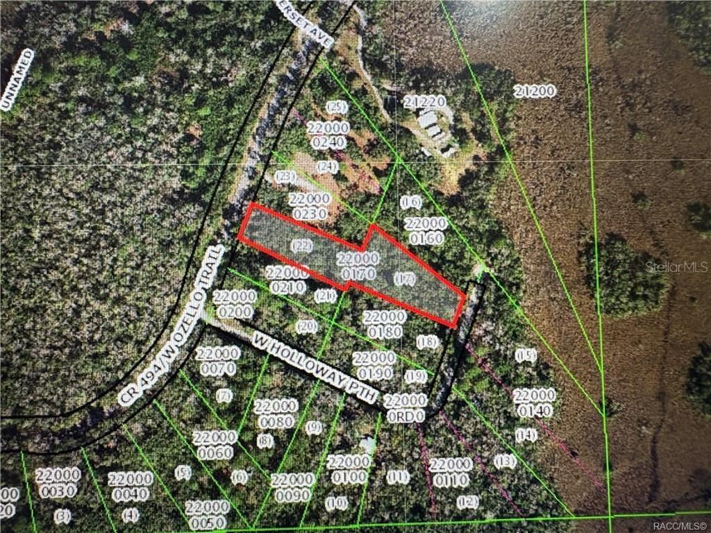 10043 W Holloway Path, Crystal River, FL 34429