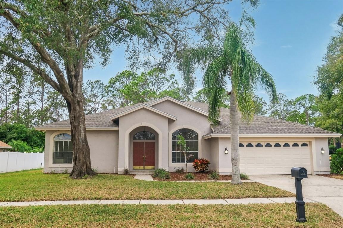 17316 Hialeah Dr., Odessa, FL 33556