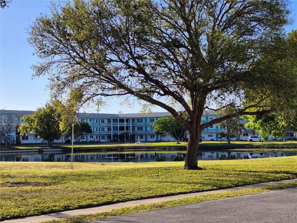 6000 20th St. #116, St Petersburg, FL 33714