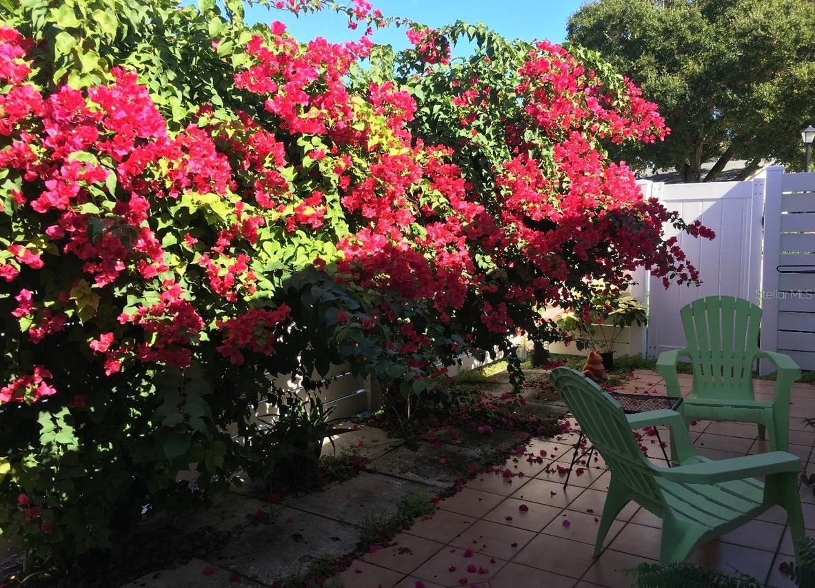 3146 37th Ln. #A, St Petersburg, FL 33711