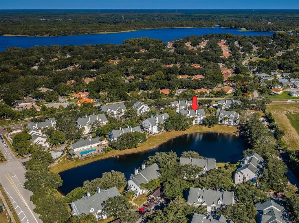 3304 Haviland Ct. #103, Palm Harbor, FL 34684