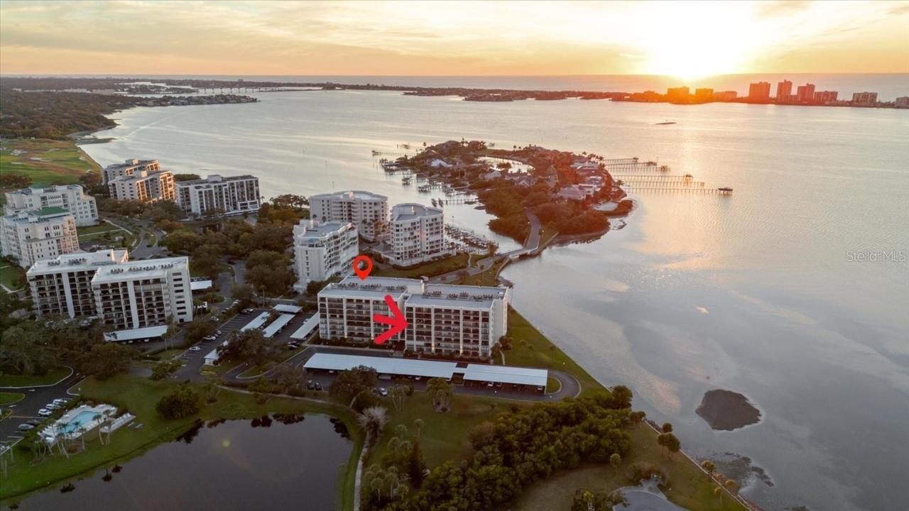 100 Oakmont Ln. #507, Belleair, FL 33756