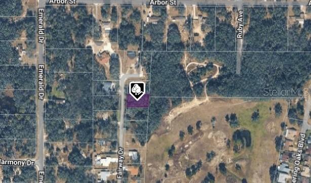 6176 Fairway Dr., Ridge Manor, FL 33523