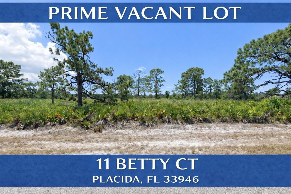 11 Betty Ct., Placida, FL 33946