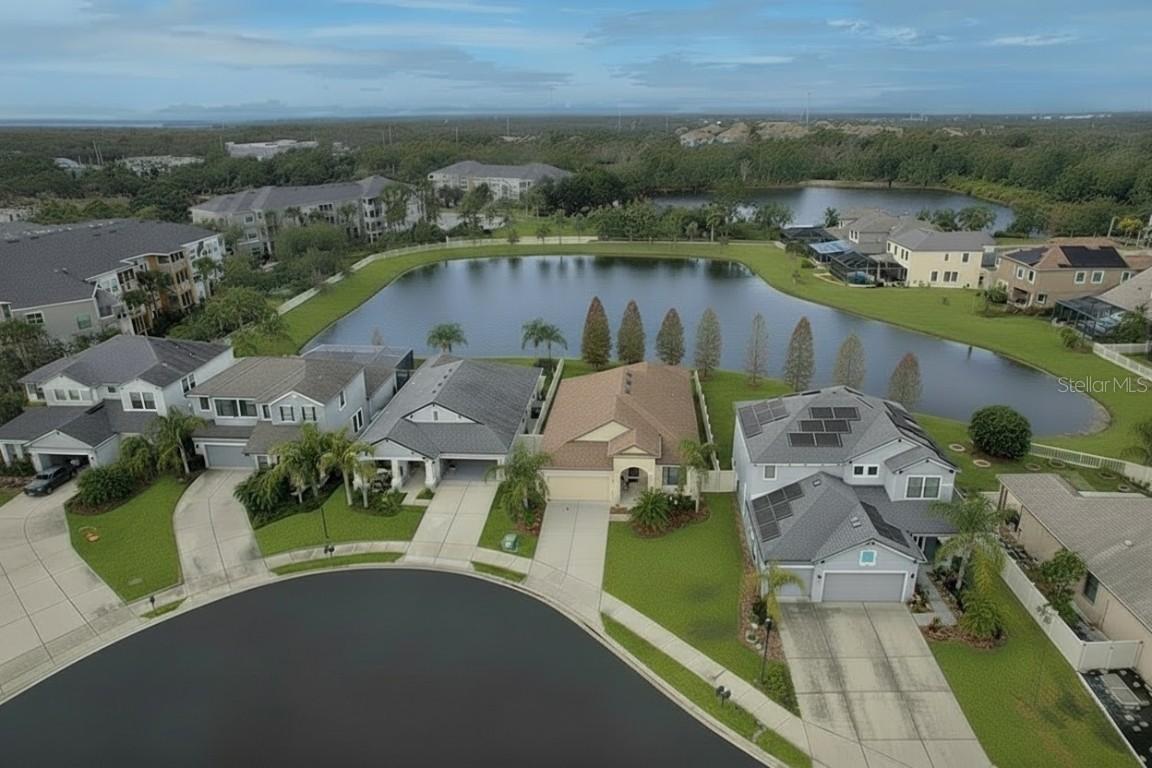 8010 Whitetail Deer Way, Tampa, FL 33635