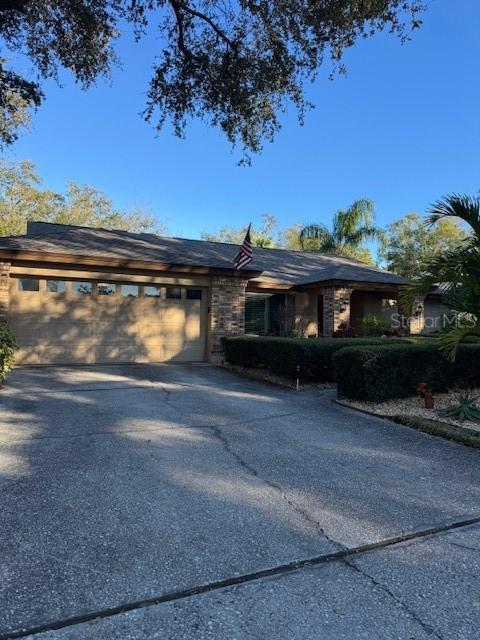 3050 Egret Ter., Safety Harbor, FL 34695