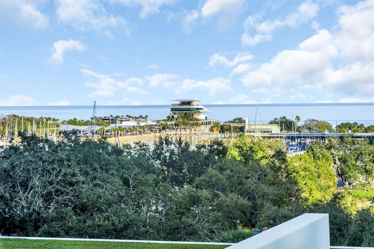 175 1st St. #702, St Petersburg, FL 33701