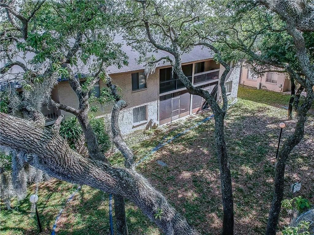 7537 Pitch Pine Cir. #C, Tampa, FL 33617