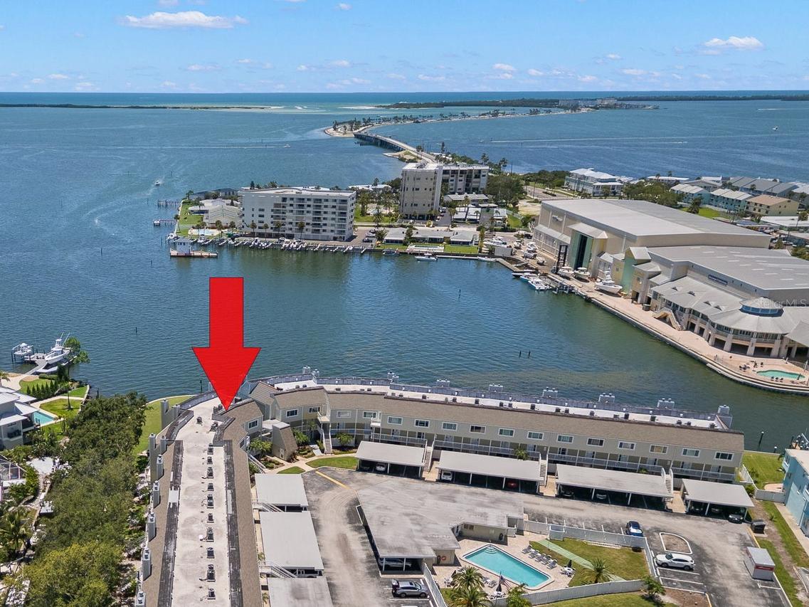 433 S Paula Dr. #31, Dunedin, FL 34698