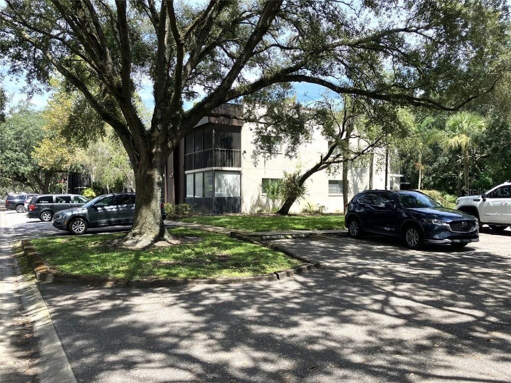 11703 Raintree Village Blvd. #B, Temple Terrace, FL 33617