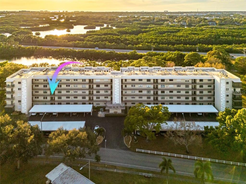 8198 Terrace Garden Dr. #202, St Petersburg, FL 33709