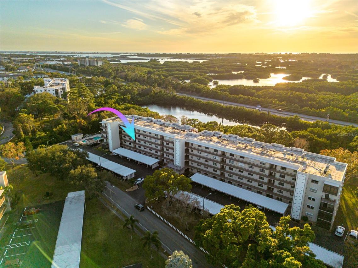 8198 Terrace Garden Dr. #202, St Petersburg, FL 33709