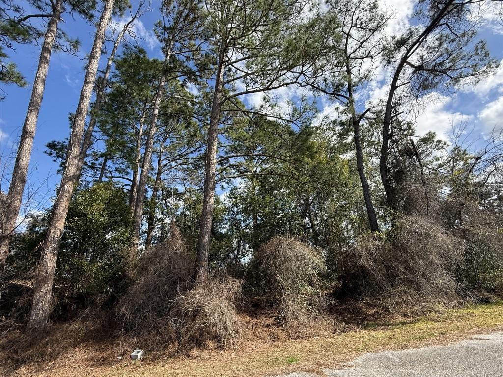 TBD Se 190th Avenue, Silver Springs, FL 34488