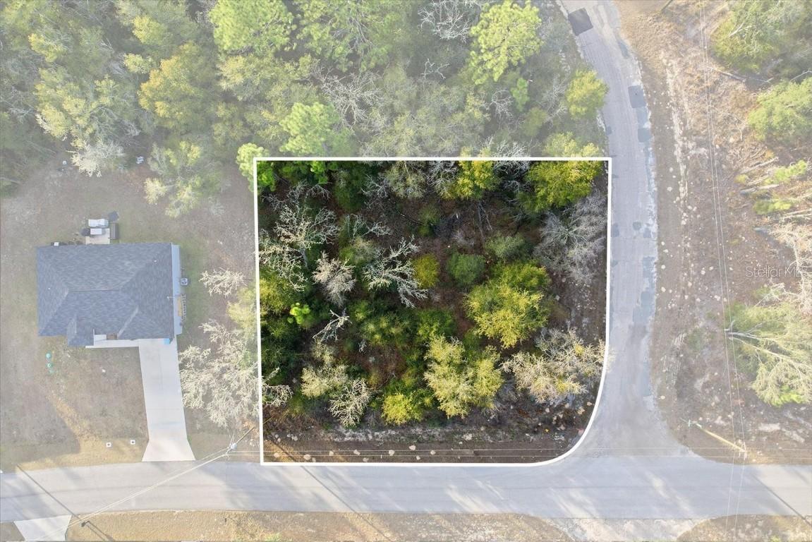 10953 N Ocean Dr., Citrus Springs, FL 34434