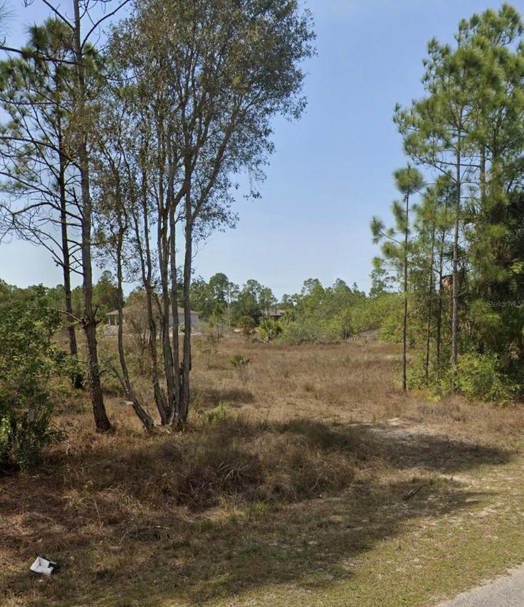 919 Euclid Ave., Lehigh Acres, FL 33972