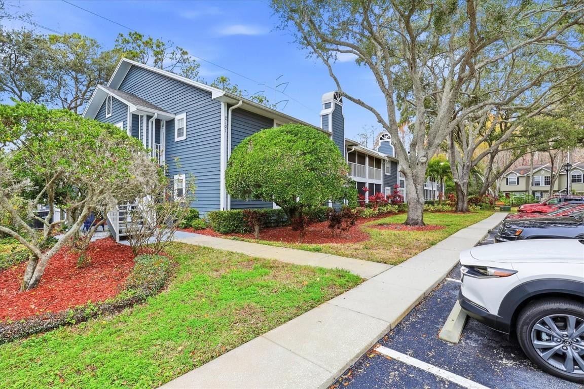 2101 Fox Chase Blvd. #204, Palm Harbor, FL 34683