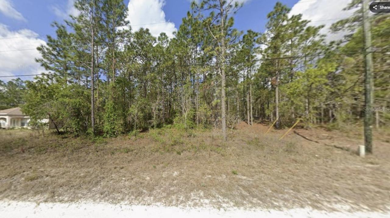15493 Penn State Rd., Weeki Wachee, FL 34614