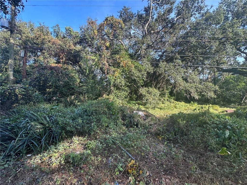 11911 Leroy Sheppard Rd., Thonotosassa, FL 33592