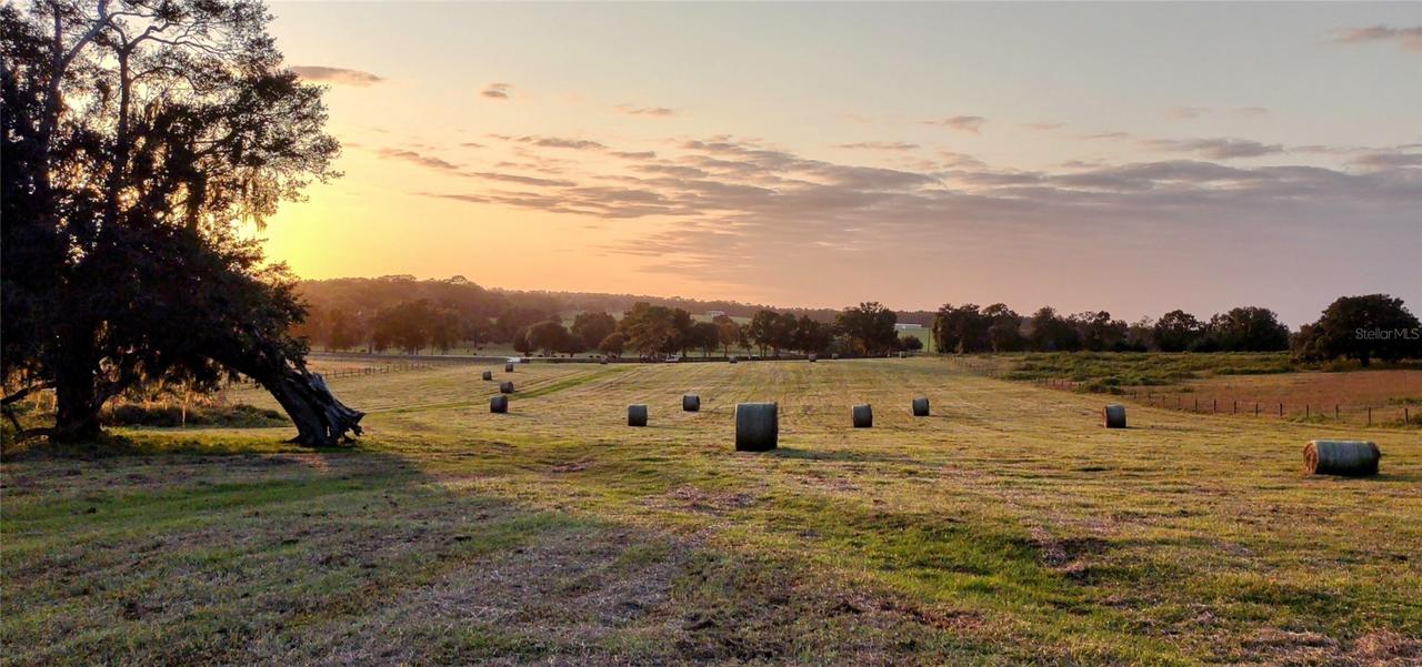 8385 S Pleasant Grove Rd., Inverness, FL 34452