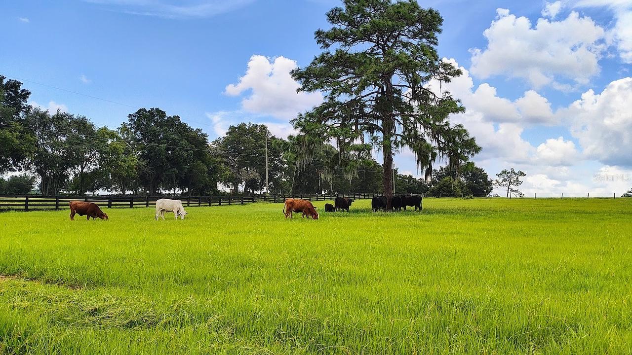 8385 S Pleasant Grove Rd., Inverness, FL 34452