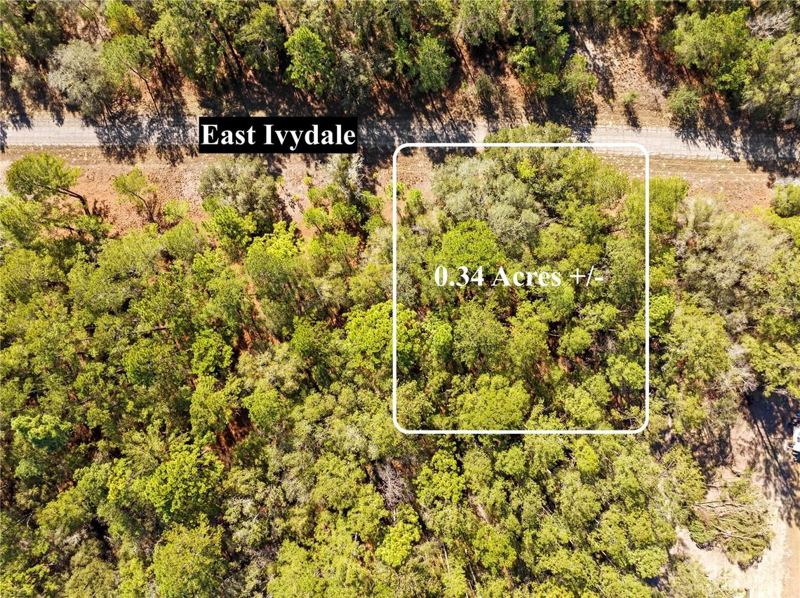 1783 E Ivydale Dr., Dunnellon, FL 34434