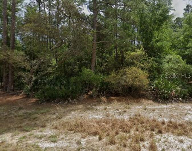 131 Edgemere Dr., Georgetown, FL 32139