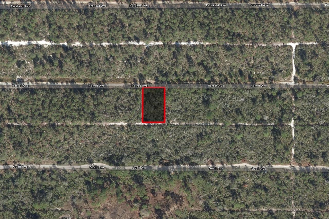 533 Parrot Ave., Sebring, FL 33872