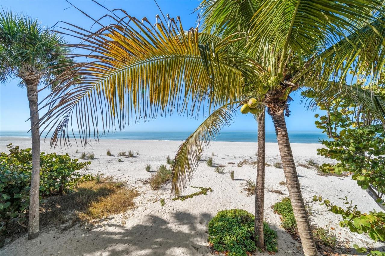 8640 W Gulf Blvd., Treasure Island, FL 33706