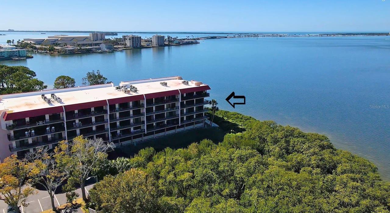 2700 Bayshore Blvd. #11305, Dunedin, FL 34698