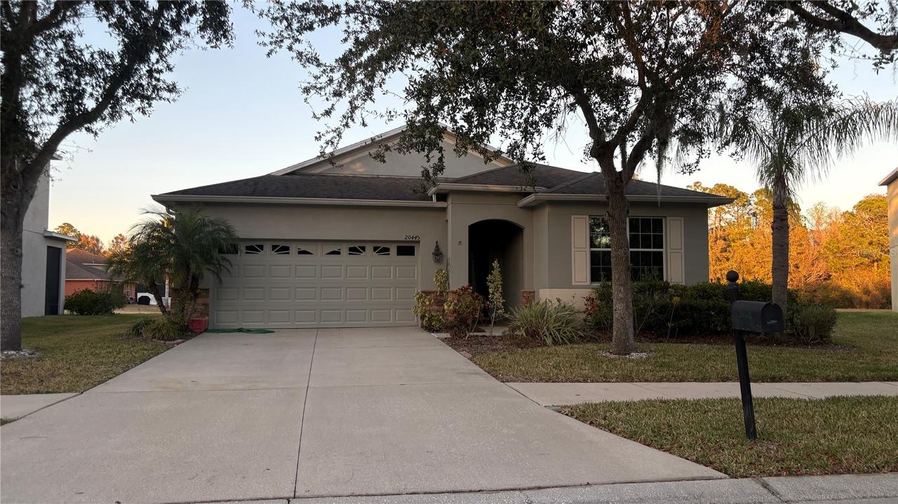 20445 Autumn Fern Ave., Tampa, FL 33647