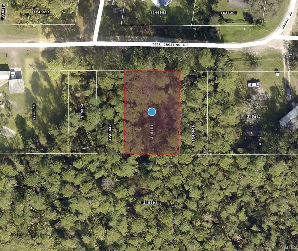 TBD Deer Crossing Rd., Altoona, FL 32702
